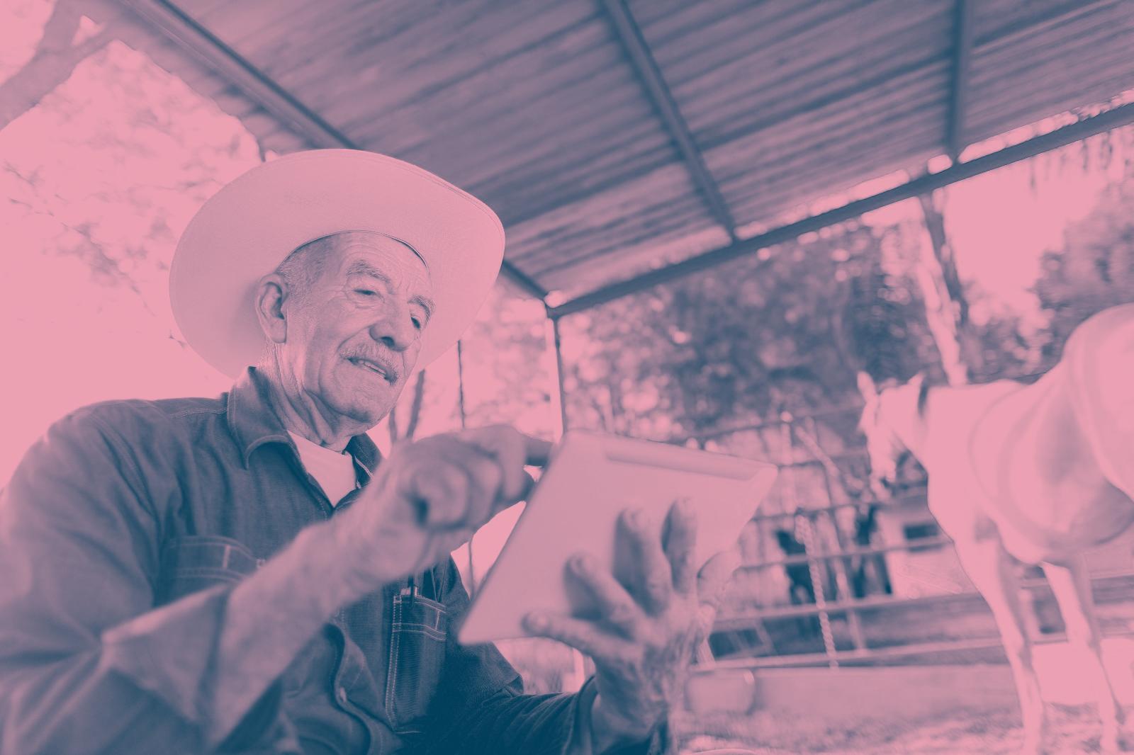 Silver Economy: Three Pillars for a More Productive Longevity