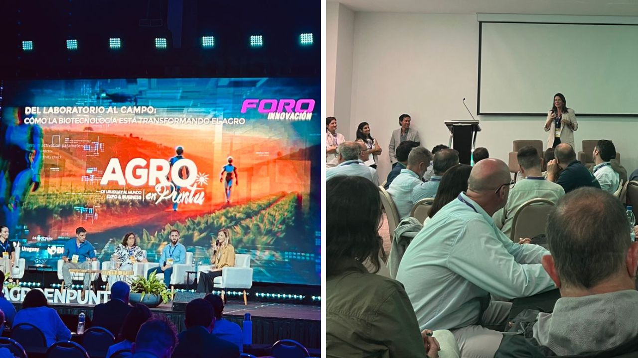 BID Lab en Agro en Punta