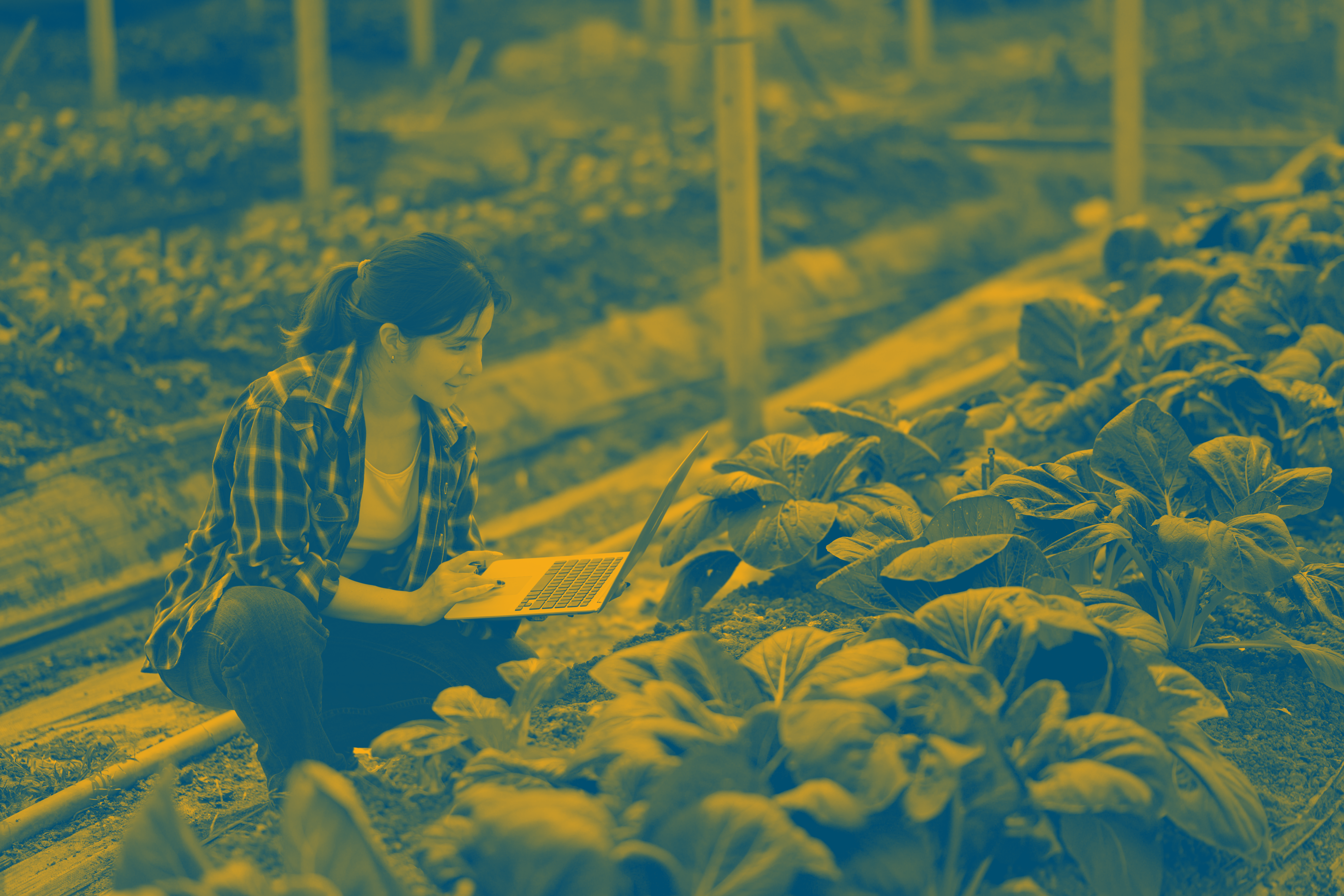 Capital emprendedor que genera impacto real en la agricultura de América Latina y el Caribe