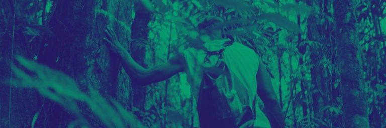 Biodiversity and blockchain