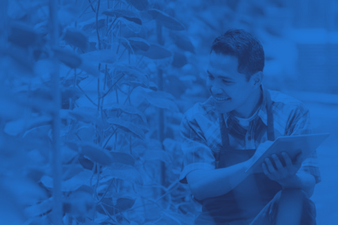 Man with checklist next to plants