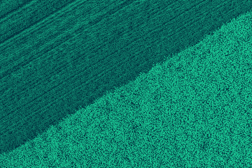 Field grops aerial view